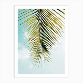 Palm Leaf Photograph Art Print