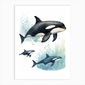 Orca Whale Pod Illustration 2 Art Print
