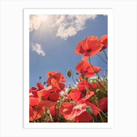 Red poppies field with blue cloudy sky at horizon Art Print