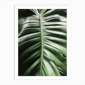 Green Monstera Leaf Art Print