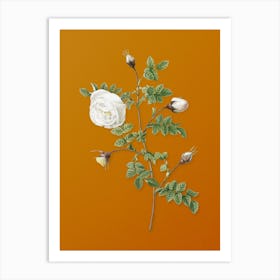 Vintage Silver Flowered Hispid Rose Botanical on Sunset Orange n.0527 Art Print