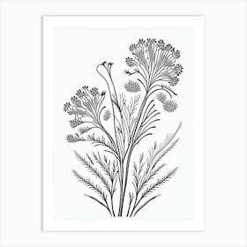 Caraway Herb William Morris Inspired Line Drawing 2 Art Print