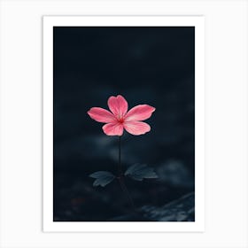 Pink Flower In Water 1 Art Print