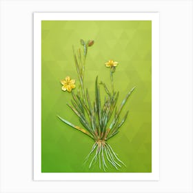 Vintage Yellow Eyed Grass Botanical Art on Love Bird Green n.0753 Art Print