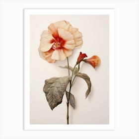 Pressed Wildflower Botanical Art Impatiens Art Print