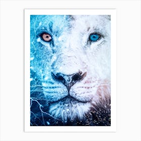 White Lion Blue And Orange Eyes Art Print