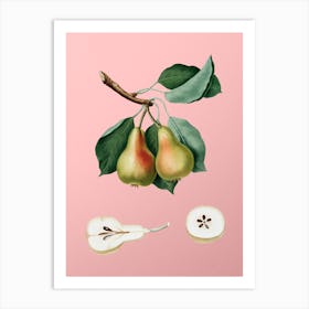 Vintage Pear Botanical on Soft Pink 2 Art Print