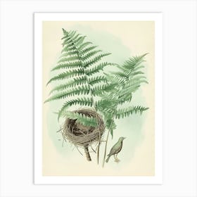 Vintage Illustration Birds Nest Fern 3 Art Print