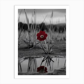 Flower In A Puddle Art Print