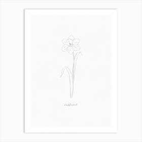 Daffodil Line Drawing Art Print