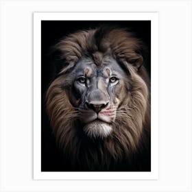 Color Photograph Of A Lion Art Print