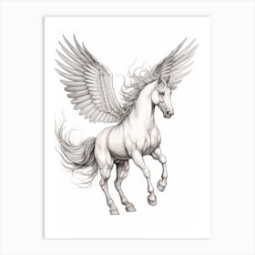 Pegasus Pencil Illustration Art Print