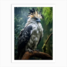 Apex Avian: Harpy Eagle Wall Print Art Print