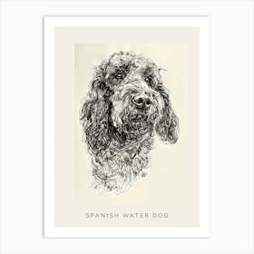 Spanish Water Dog Line Sketch 2 Poster Art Print