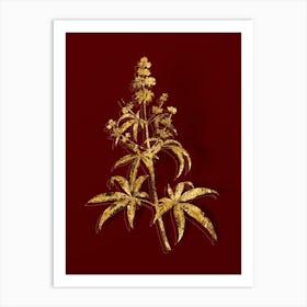 Vintage Chaste Tree Botanical in Gold on Red n.0432 Art Print