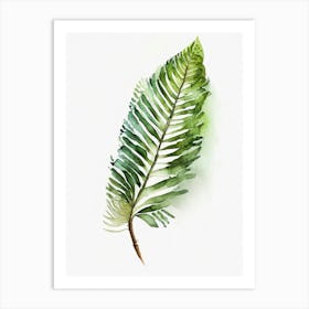 Sword Fern Watercolour Art Print