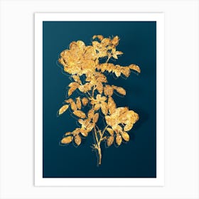 Vintage Red Sweetbriar Rose Botanical in Gold on Teal Blue n.0236 Art Print