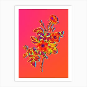 Neon Alpine Rose Botanical in Hot Pink and Electric Blue n.0283 Art Print