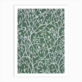 White Willow tree Vintage Botanical Art Print