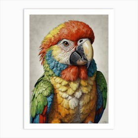 Colorful Parrot 39 Art Print