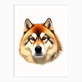 Alaskan Malamute Illustration Dog Art Print