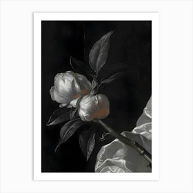 Peony Art Print