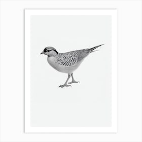 Pheasant B&W Pencil Drawing 1 Bird Art Print