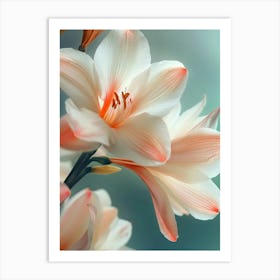 Lily Flower Art Print