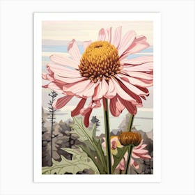 Flower Illustration Gaillardia 1 Art Print