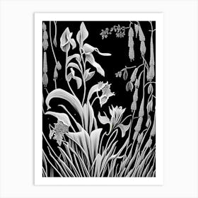 Harebell Wildflower Linocut 2 Art Print