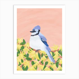 Blue Jay  Art Print