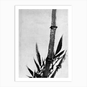 Katsushika Hokusai Bamboo Tree Art Print