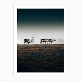 Reindeer meeting Art Print