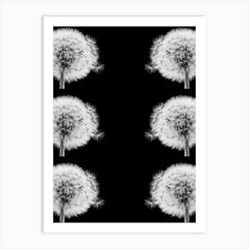 Dandelions Art Print