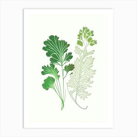Parsley Spices And Herbs Minimal Line Drawing 4 Art Print