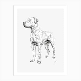 Dogo Argentino Dog Line Sketch 2 Art Print