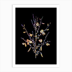 Stained Glass Yellow Broom Flowers Mosaic Botanical Illustration on Black Art Print