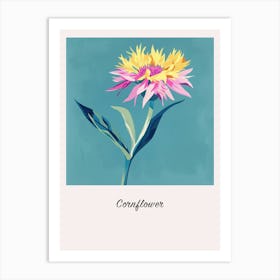 Cornflower 1 Square Flower Illustration Poster Art Print