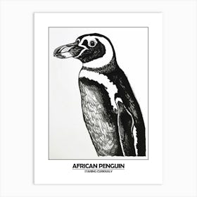 Penguin Staring Curiously Poster Art Print