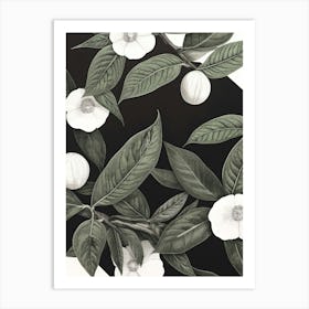 White Hibiscus Art Art Print