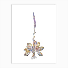 Stained Glass Blazing Star Mosaic Botanical Illustration on White n.0359 Art Print
