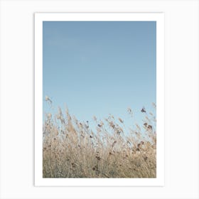 Wind 43 Art Print