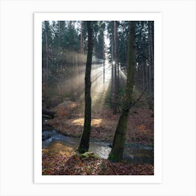 Sunbeams in the winter forest 2 Art Print