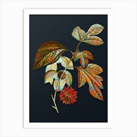 Vintage Paper Mulberry Flower Botanical Watercolor Illustration on Dark Teal Blue n.0864 Art Print
