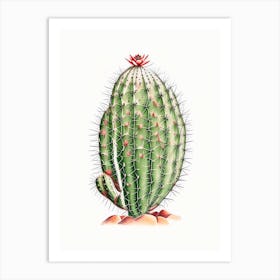 Spider Cactus Marker Art Art Print