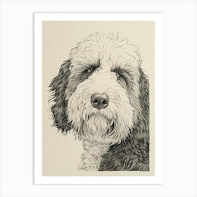 Old English Sheepdog Line Sketch 4 Art Print