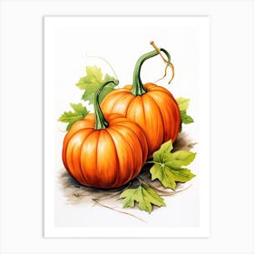 Jarrahdale Pumpkin Watercolour Illustration 3 Art Print
