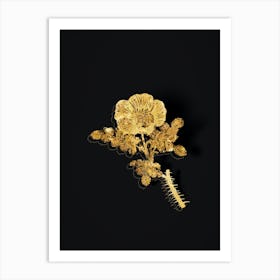 Vintage White Burnet Rose Botanical in Gold on Black n.0314 Art Print