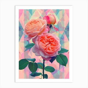 English Roses Painting Rose Geometric 4 Art Print