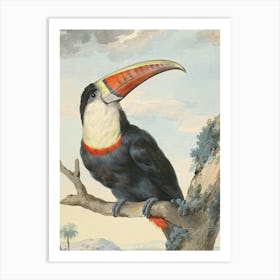 Toucan Art Print